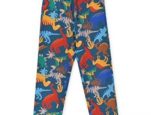Παιδικό Παντελόνι για Αγόρια Blue Dinosaurs – ΜΠΛΕ